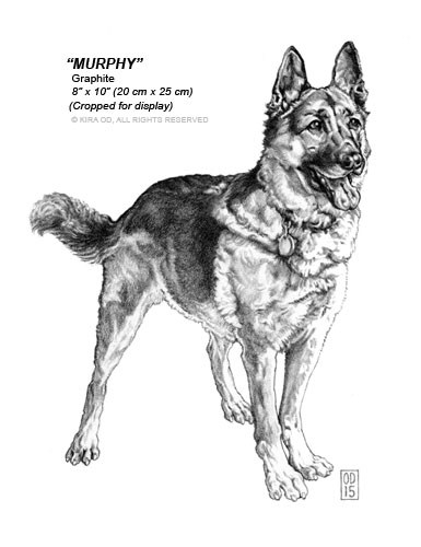 Murphy