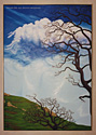 Spring on Windy Hill