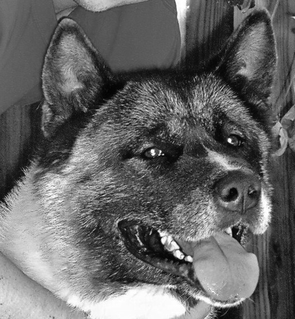 DundeeX-LARGE/Dundee_282379_BW_WEB_XL.jpg