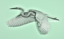 EgretSMALL/Egret_5693_ADJ_WEB_S.jpg