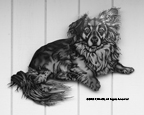 LittleBear-KSMALL/C-0_WebDog_SM_Little_Bear_PATINA_8213.jpg