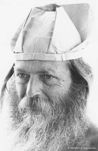 033 - viking