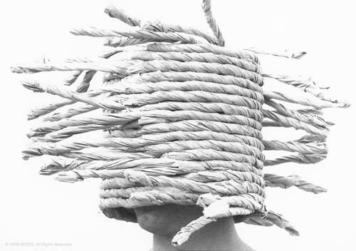 216 - coil rook