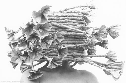 219 - coil bishop