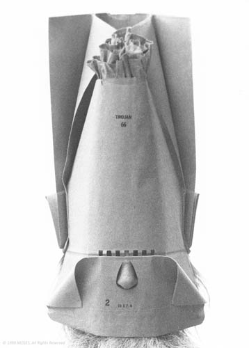 233 - nose patrol