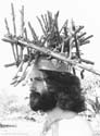 096 - bamboo king